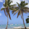 Отель Anegada Reef Hotel, фото 12