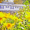 Отель Heriot Bay Inn, фото 26