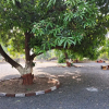 Отель Dev Farm Sasan Gir, фото 12