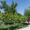 Отель Villa Marafen, фото 17