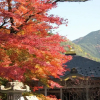 Отель Masugen Ryokan, фото 12