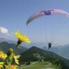 Отель Spacious Farmhouse In Aschau Im Zillertal With Meadow View, фото 15