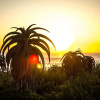 Отель Dreamland Beach House at Supertubes, фото 13