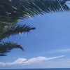 Отель Villa Dimitris, фото 3