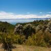 Отель Kanuka House - Kaiteriteri Holiday Home, фото 15