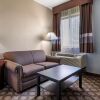 Отель Econo Lodge Inn & Suites, фото 30