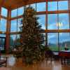 Отель Skamania Lodge, фото 15