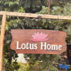 Отель Lotus Home, фото 23