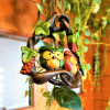 Отель Olive House – Hostel, фото 9