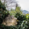Отель Haus Lesch - Stilvolle Appartements mit tollem Bergblick in Kreuth am Tegernsee, фото 25
