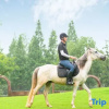 Отель Mogan Mountain · Suzhou Style Garden Hostel, фото 13
