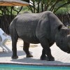 Отель Khama Rhino Sanctuary, фото 6