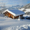 Отель Chalets Savoie, фото 2