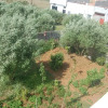 Отель House With 3 Bedrooms In Asilah With Enclosed Garden 1 Km From The Beach, фото 13