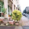 Отель Bahir Dar Hotel 2, фото 10