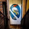 Отель Hostal Backpackers Balcones, фото 12