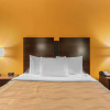 Отель Quality Inn Grand Rapids Near Dowtown, фото 3