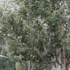 Отель Jeet home stay, фото 6