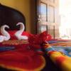 Отель White Horse Guest House, фото 15