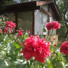 Отель Duendes Del Pungo, фото 17