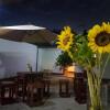 Отель Hostal Girasol, фото 13