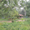 Отель Jungle Nest Homestay, фото 18