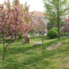 Отель Huaxing Hotel - Rongcheng, фото 15