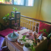 Отель Vanilla Place, фото 11