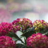 Отель Ryuguhotel KIRA, фото 25