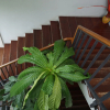 Отель Thongtha Residence (Suvarnabhumi Airport), фото 15