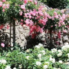 Отель Apartments Frgacic, фото 6