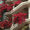 Отель Mingyuequan Hostel, фото 1