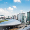 Отель Sotetsu Hotels The Splaisir Seoul Dongdaemun, фото 23