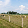Отель Sabamba Alpaca Ranch, фото 10