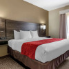 Отель Comfort Suites near Robins Air Force Base, фото 41