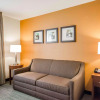 Отель Comfort Inn, фото 7