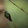 Отель El Edén Treehouse, фото 44