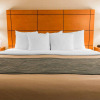 Отель Comfort Inn Metro Airport, фото 5