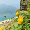 Отель Arista Homestay Sapa, фото 46
