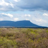 Отель Iphofolo Lodge & Tented Camp, фото 16