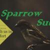 Отель Sparrow Suites, фото 10