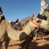 Отель wadirum hostel, фото 5