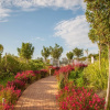 Отель Wind-Rose Guest House, фото 37