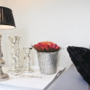 Отель Awesome Home in Wemeldinge With 3 Bedrooms and Wifi, фото 11