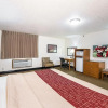 Отель Bearcat Inn and Suites, фото 30