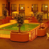 Отель Regency Inn And Suites Altus, фото 14