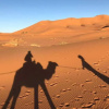 Отель Erg Sebti Bivouac Merzouga, фото 8