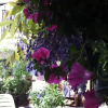 Отель Bed and Breakfast Josy, фото 3