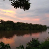 Отель Irapay Amazon Lodge - Asociado Casa Andina, фото 37