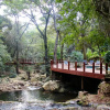 Отель Serenity Mountain and Forest Lodge, фото 12